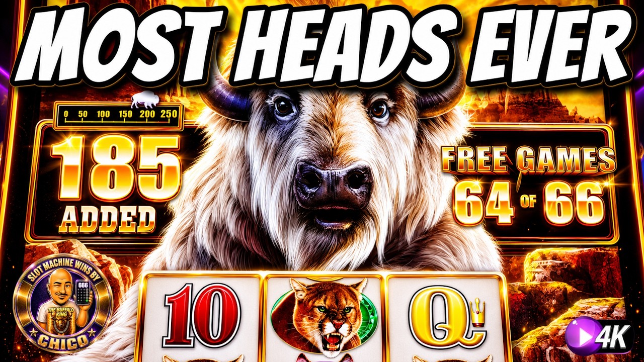 I got 66 Spins on Buffalo Chief & WON BIG!