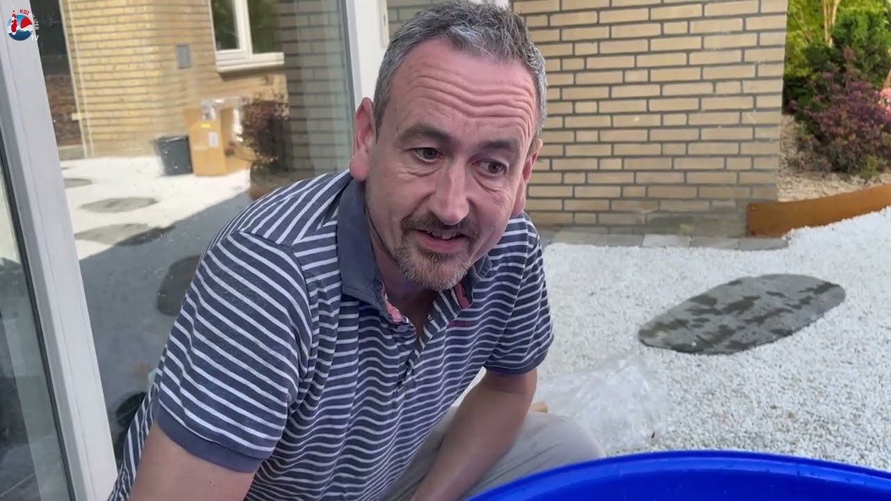 Online mini-cursus tosai selecteren: Siebe in actie bij Joris Maas Koi!