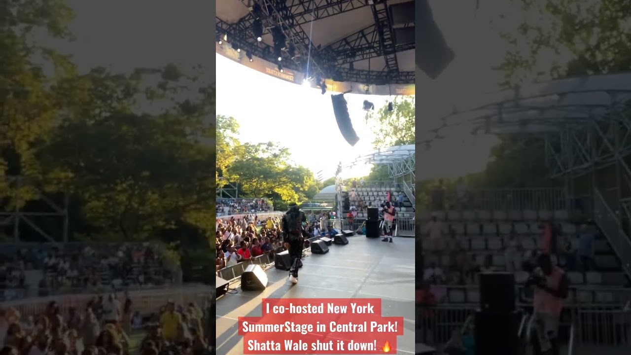 I co-hosted New York Summer Stage! 🥳🔥💃🏾 #short #shorts #newyork