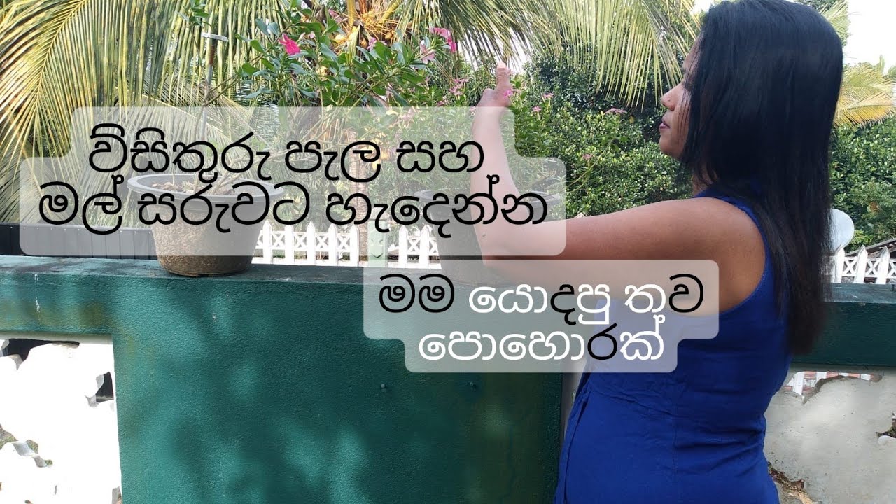 වියදමක් නැතිවම  හොදම වටින පොහොරක් ගෙදරම හදමු 🌼👌👍🌶️🌼🍎💐#beautygarden #organicgardening #fypシ゚viral 