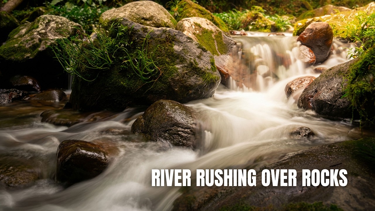 Study Better without Stress River Sounds 🌿 Natural White Noise for Focus