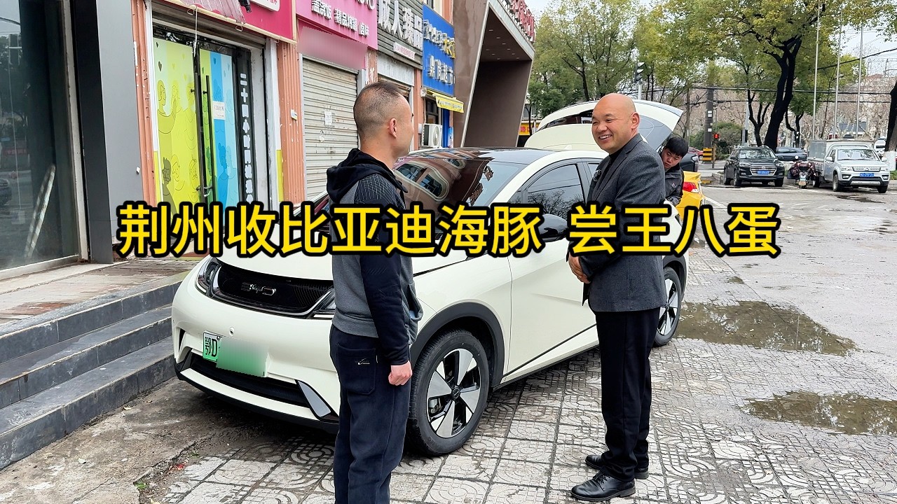 去荆州收台比亚迪海豚，顺便带兄弟们尝一下“王八蛋”