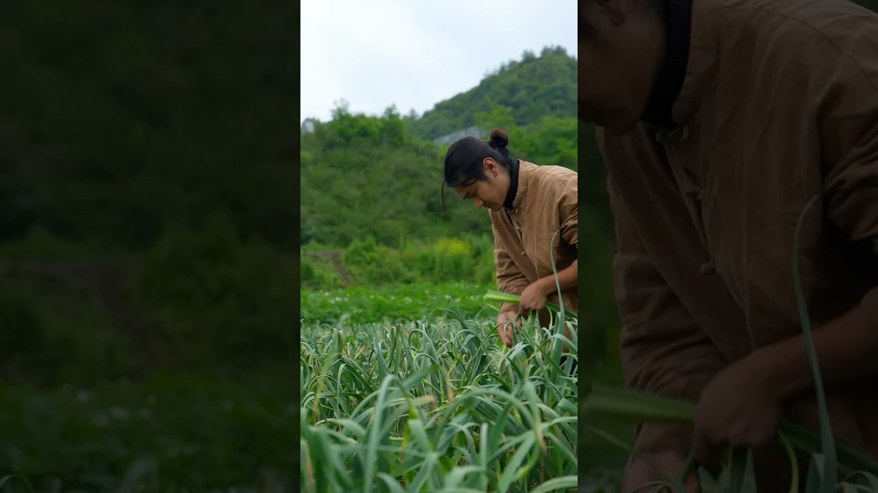 Garlic Scapes: A Thousand-Year Flavor | Traditional Countryside Ingredient