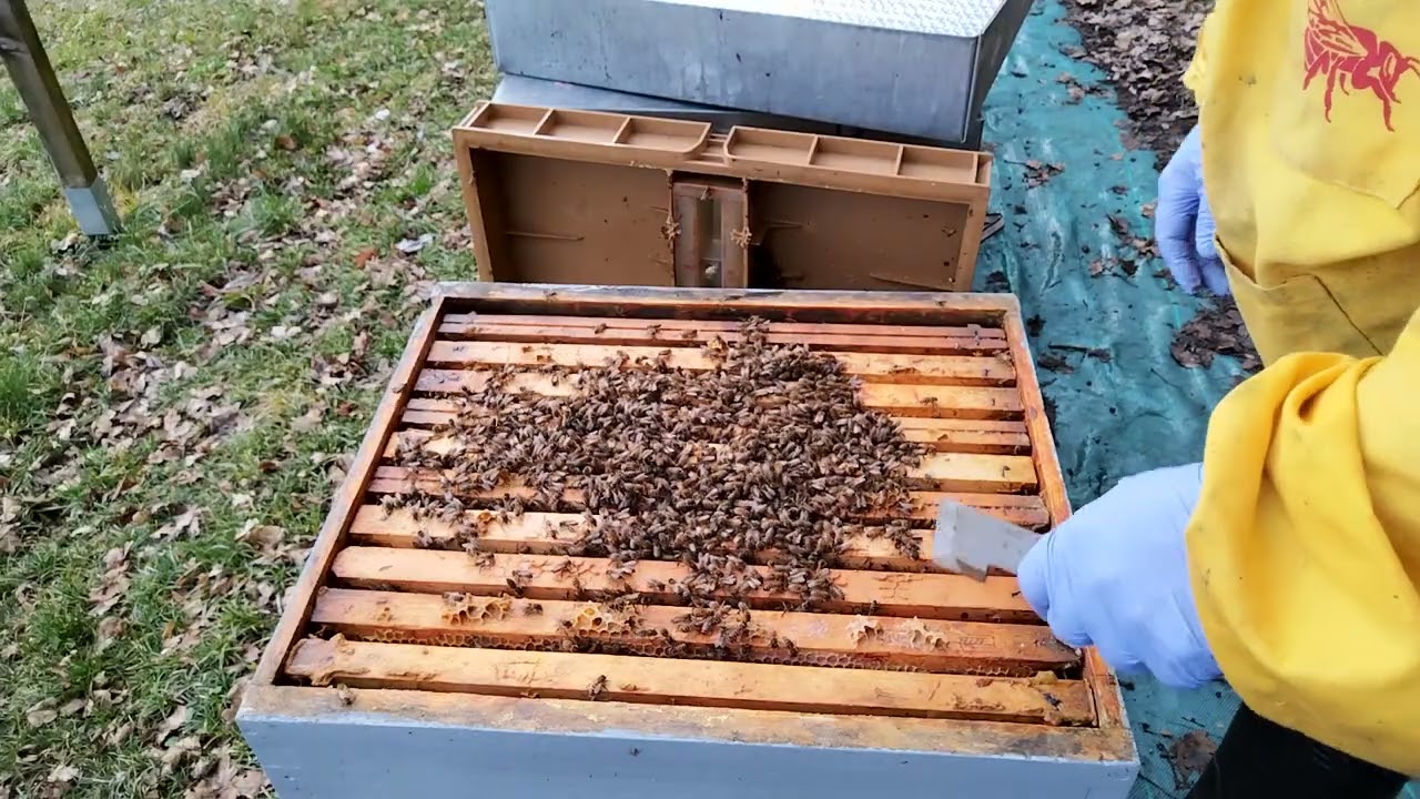 07/02/2026g Obavezna kontrola na količinu hrane. (Sen:02 video. 02).