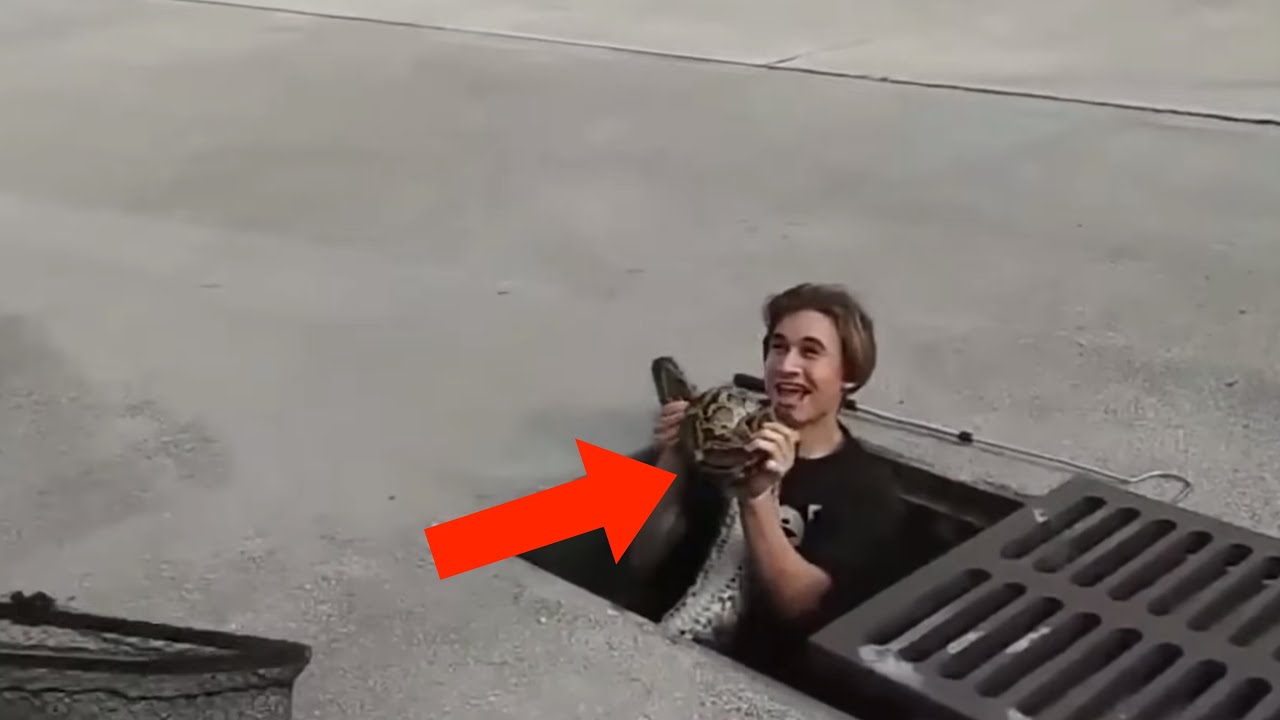 Scary Videos That Will Haunt Your Eyes