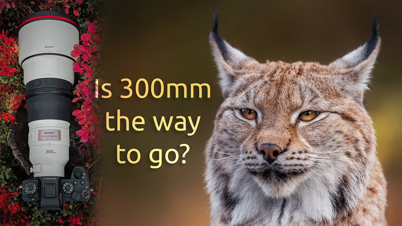 Sony 300mm GM Review – Is It Better Than the 400mm GM?