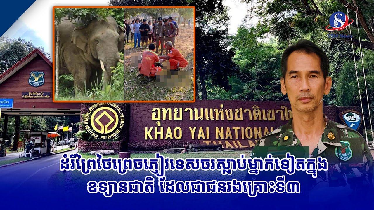 ដំរីព្រៃថៃព្រេចភ្ញៀវទេសចរស្លាប់ម្នាក់ទៀតក្នុងឧទ្យានជាតិ ដែលជាជនរងគ្រោះទី៣