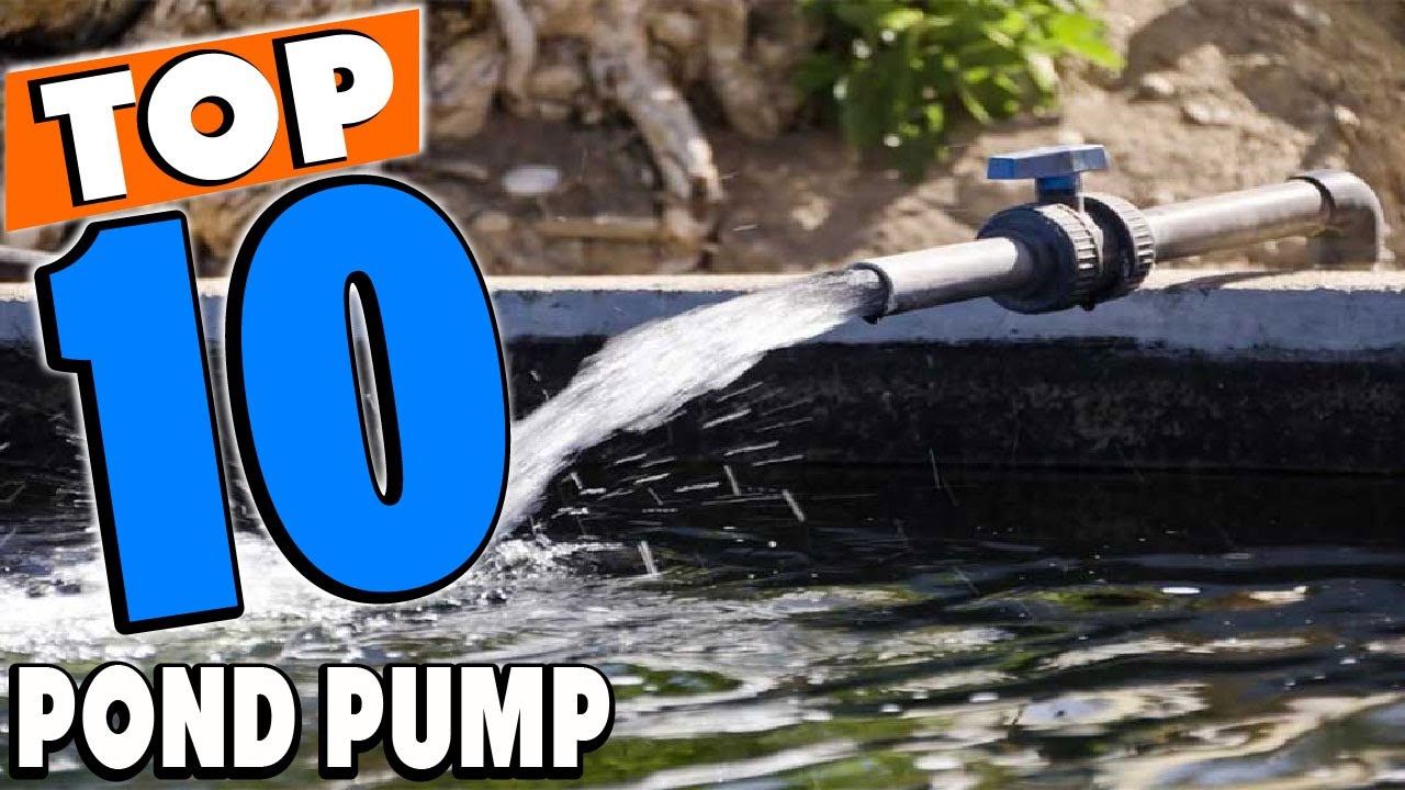 Top 10 Best Pond Pumps Review In 2025
