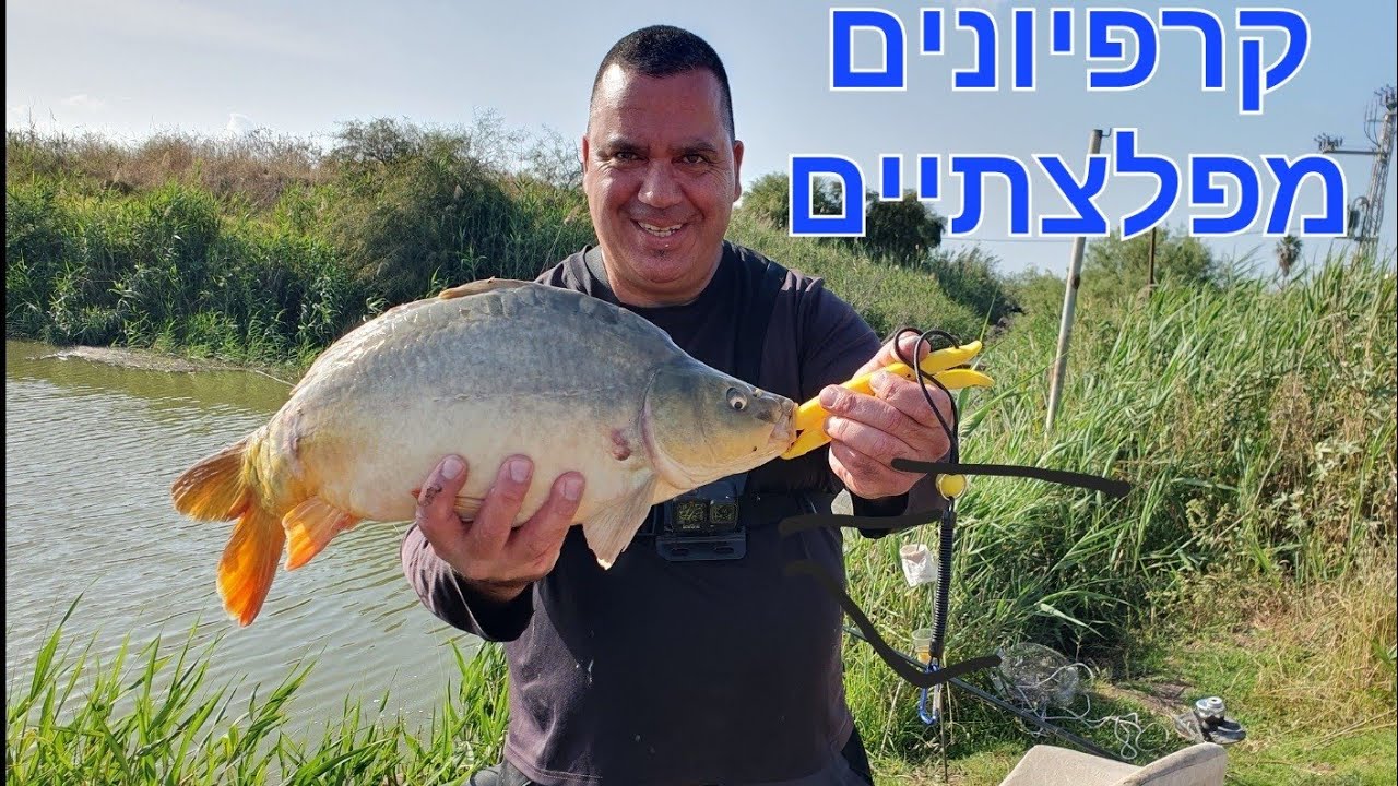 קרפיונים מפלצתיים Giant carp מפלצות בעמ | דיג עם מצוף