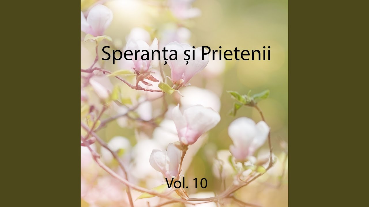 Eroii slavei vin acum acasa