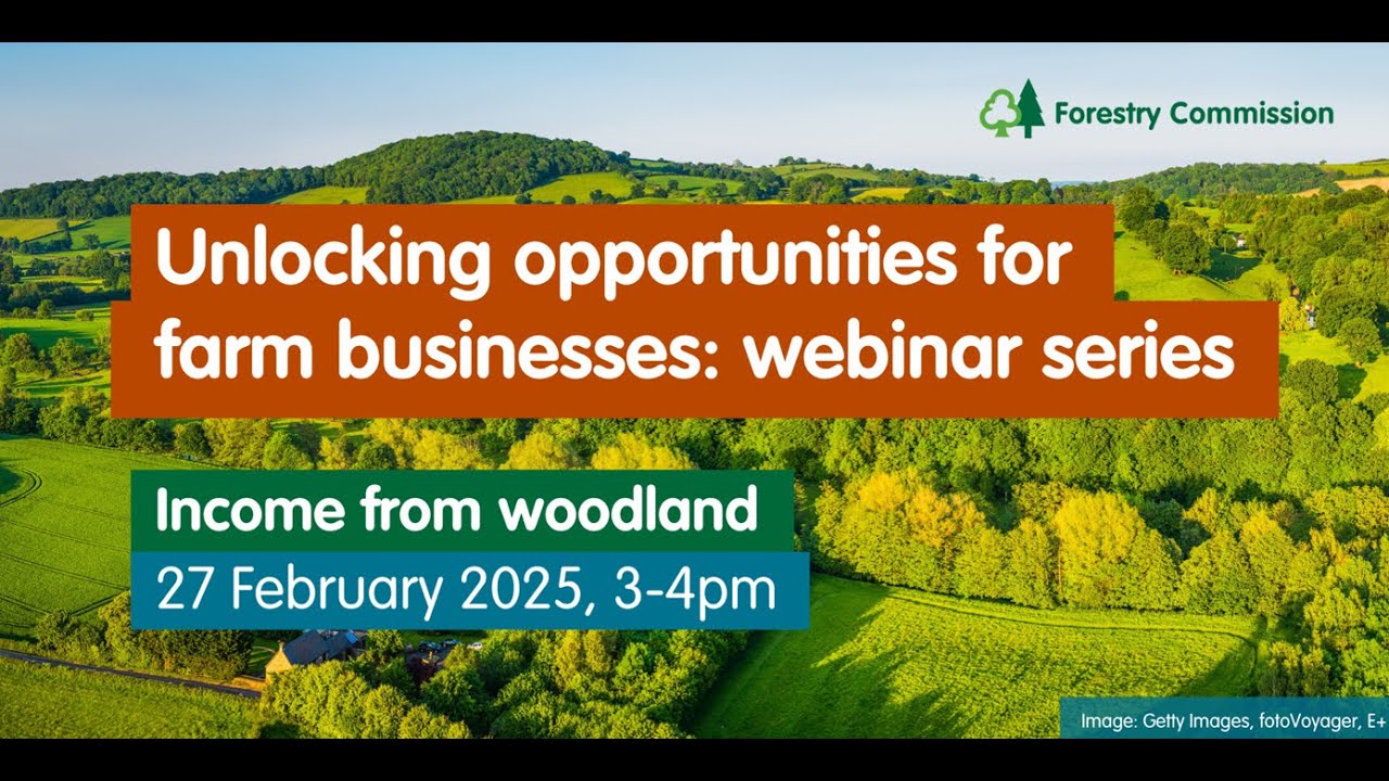 Unlocking opportunities for farm businesses: Income from woodland