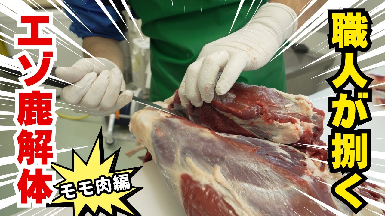 【無添加ペットフード】エゾ鹿解体のプロが捌くモモ肉の脱骨・分割