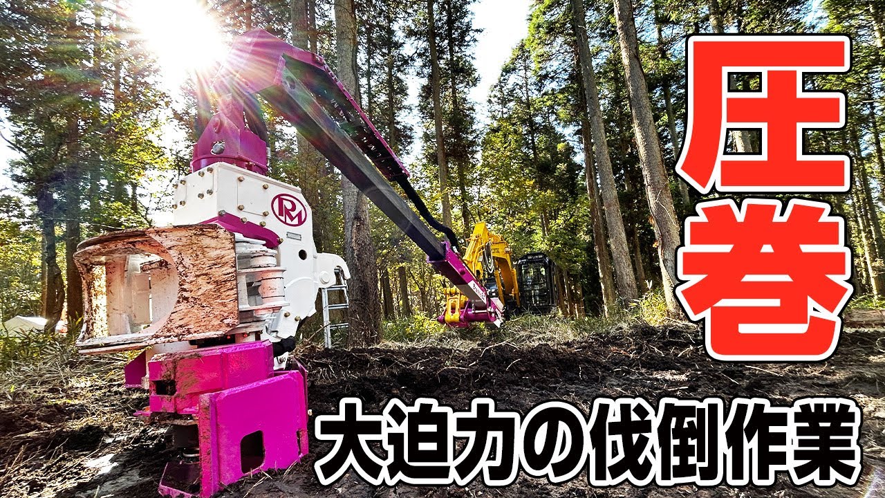 【新時代】進化しすぎた最新林業機械の性能がエグすぎて感動した！！