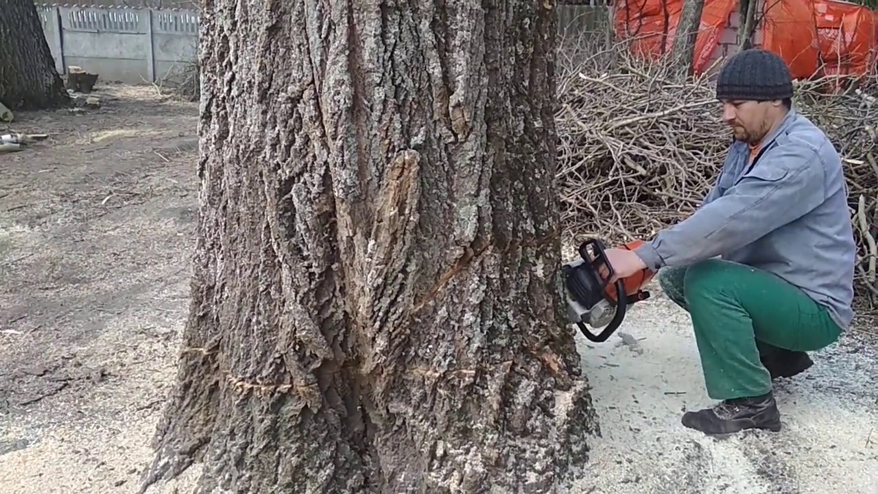 Stihl ms 660