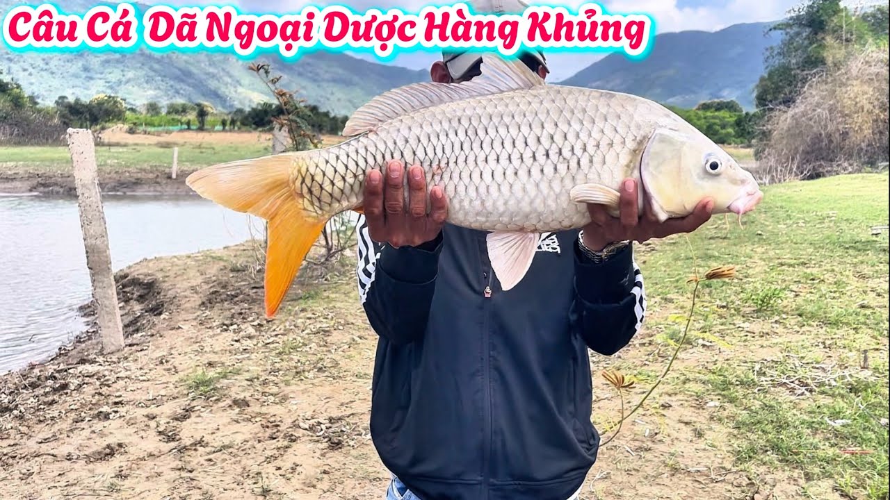 Dã Ngoại Câu Cá Gặp Hàng Khủng. | 30