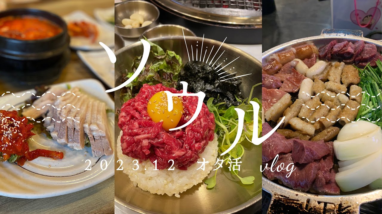 【韓国|ソウル】冬のソウルオタ活Vlog ⌇﻿MMA2023参戦⌇﻿絶品ポッサム⌇﻿コプチャンを味わう