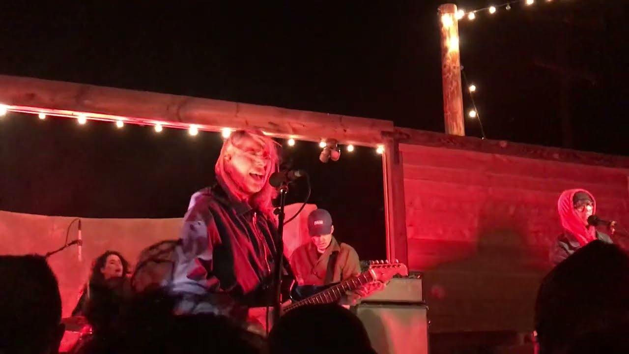 alvvays. adult diversion. (live)