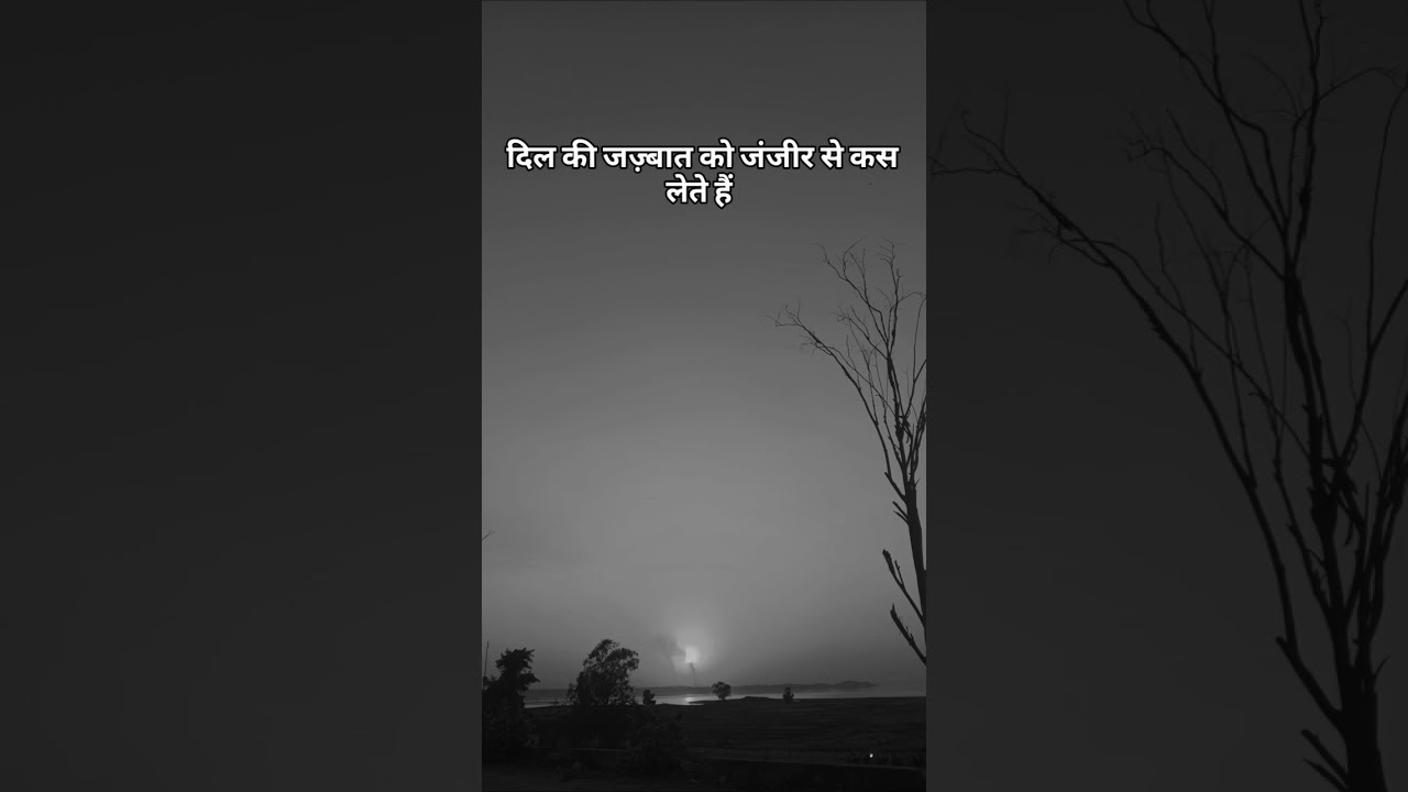 अपनी लिखी हुई तकदीर पर हंस लेते हैं। #minivlog #ekmotahathighumechala #mahaaarti