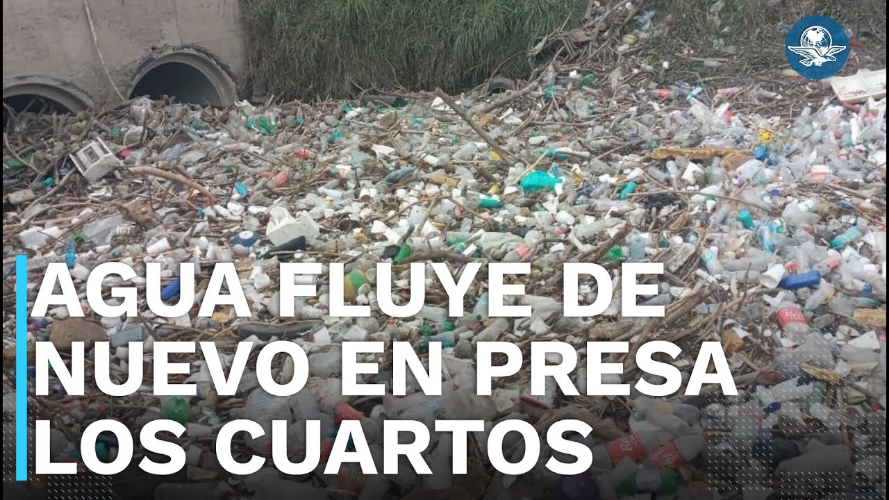 Retiran tapón de basura de la Presa Los Cuartos en Naucalpan