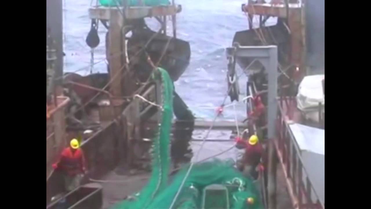 New England Fisheries - Gloucester and Cod