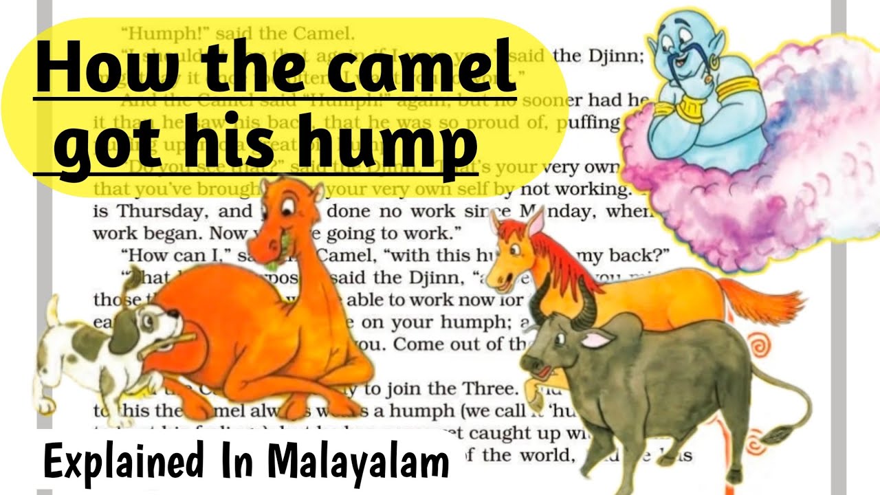 CBSE class 8 English | # How the camel got his hump | If so happened , chapter 1 | in Malayalam