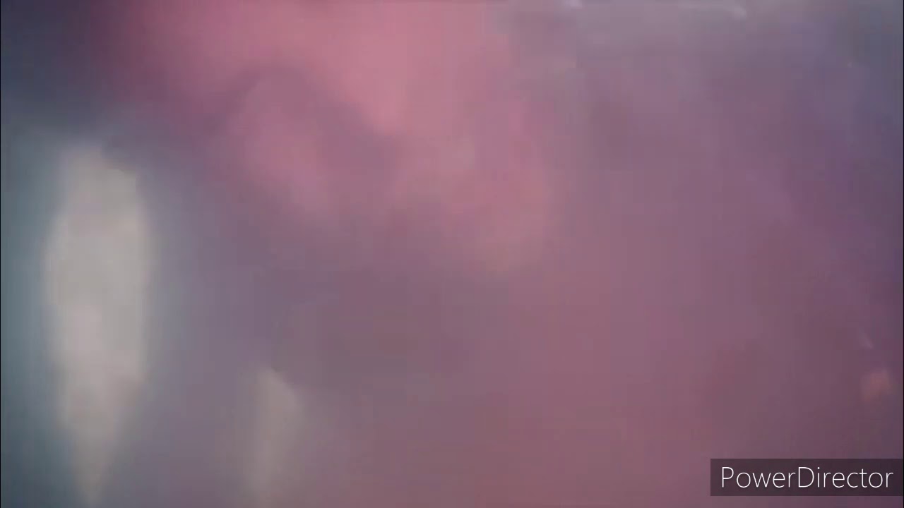 El dragon miguel es torturado (immortales) amv
