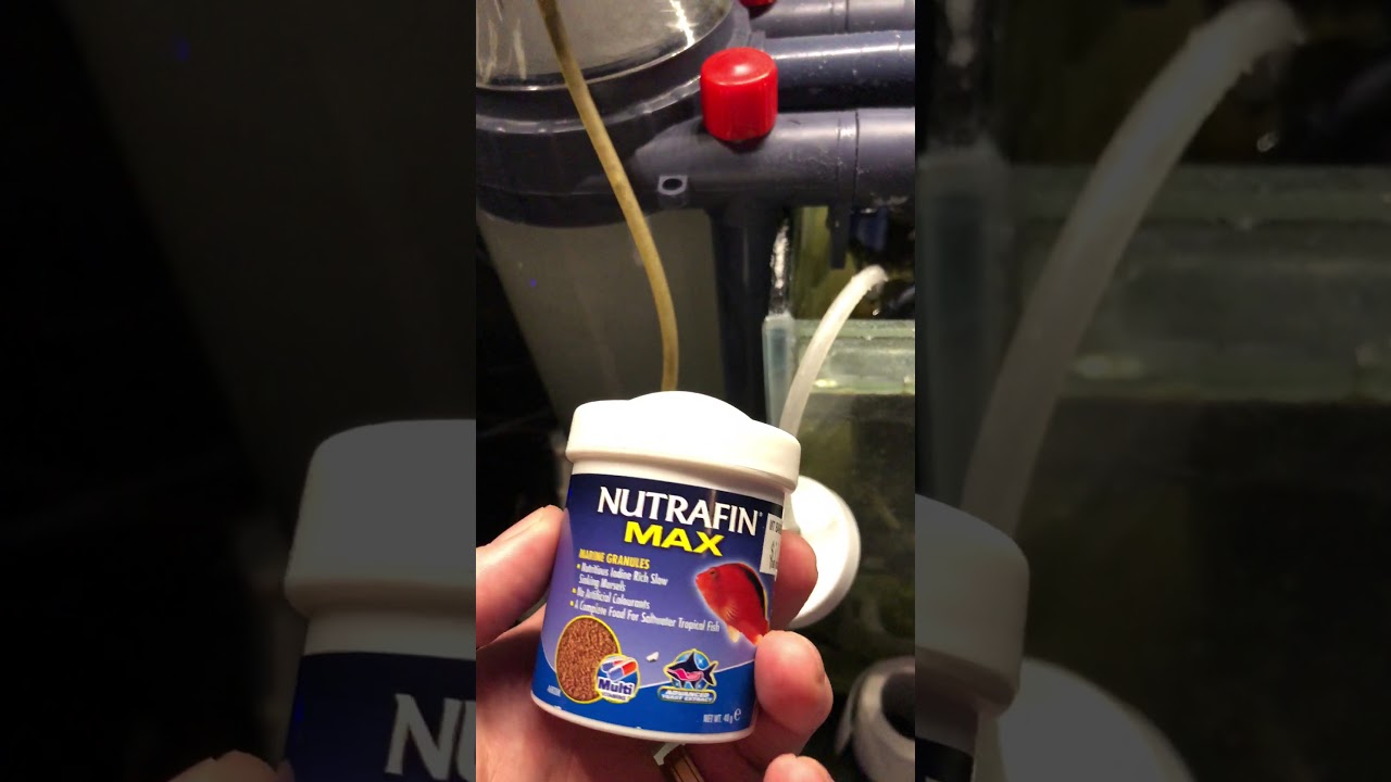 How to make a AquaOne protein skimmer silent.