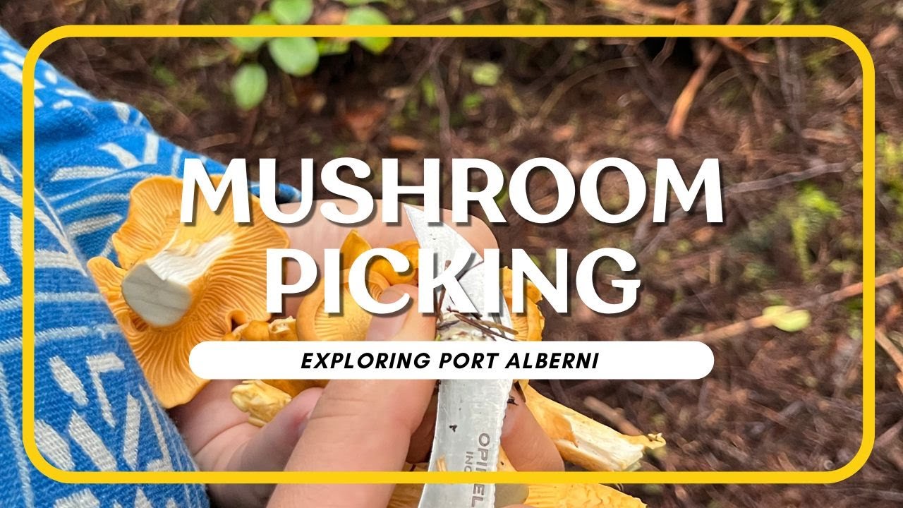 Mushroom Picking on the West Coast of Vancouver Island | Exploring Port Alberni