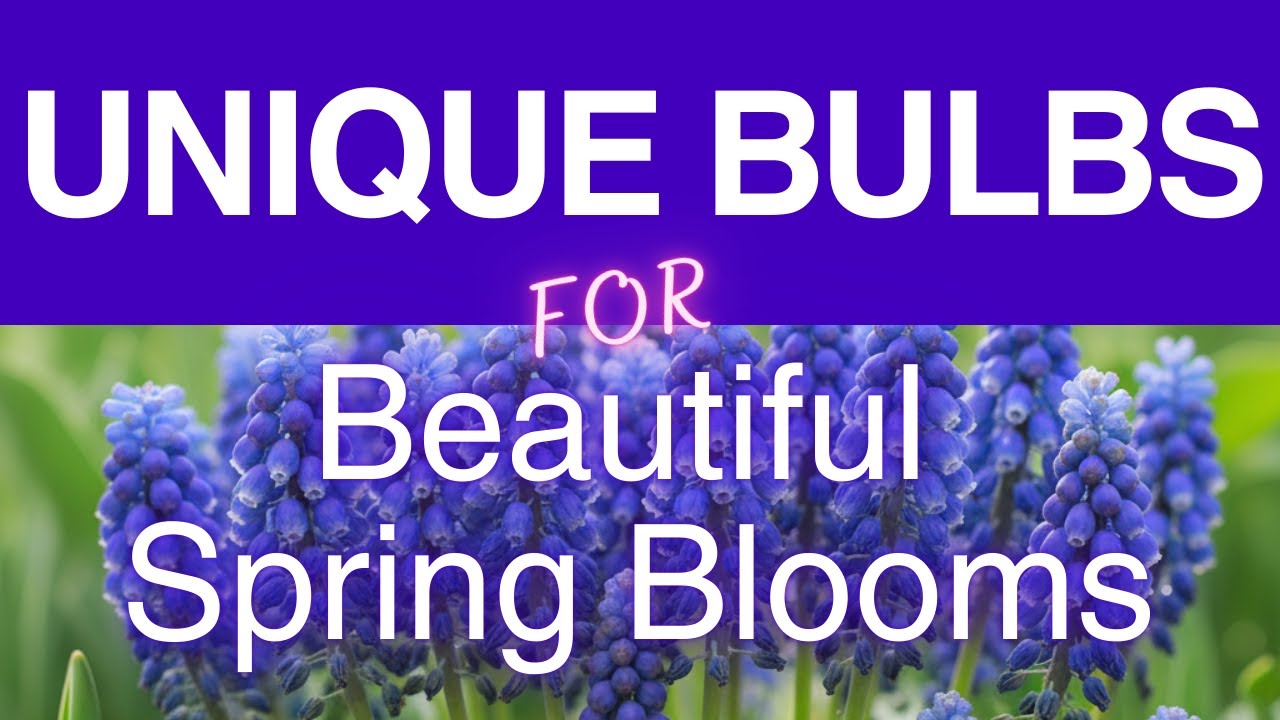 Add these ESSENTIAL Bulbs To Your Spring Flower Collection