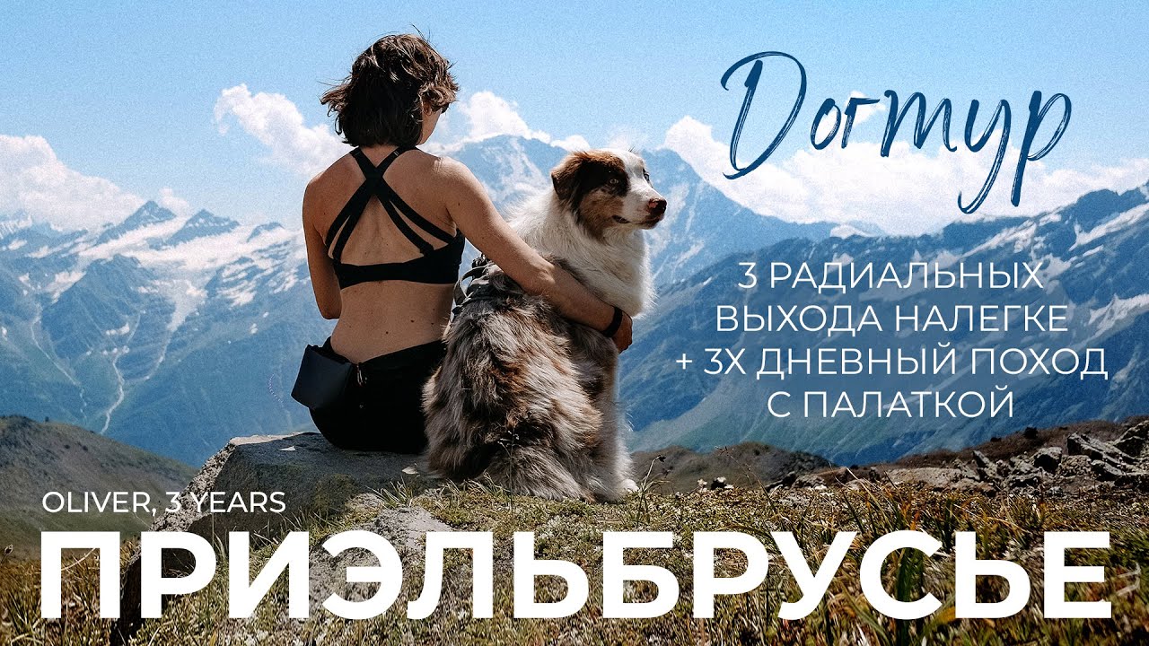 93км в Приэльбрусье за 6 дней | Поход с собакой
