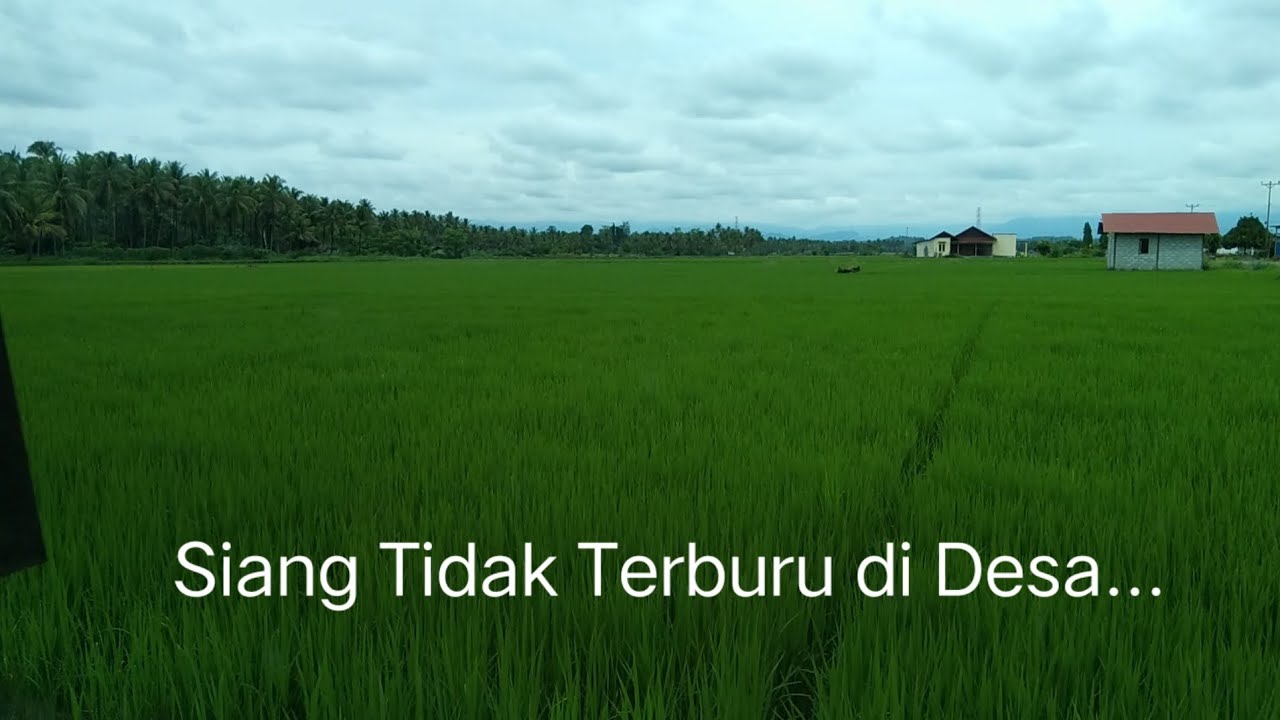 Pagi Mengalir Pelan di Pelukan Desa | Gentle Morning Flow in a Peaceful Village