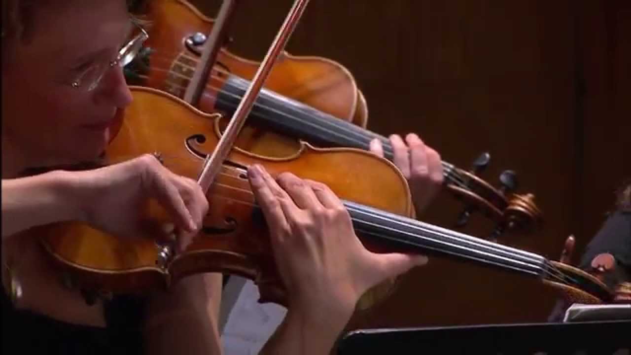 CAMERATA BERN Patricia Kopatchinskaja Die Wut