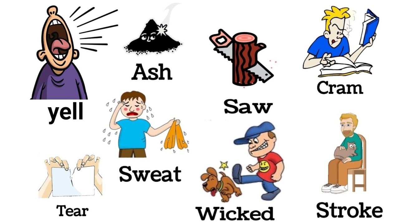 Daily use english words | Verbs | Vocabulary |