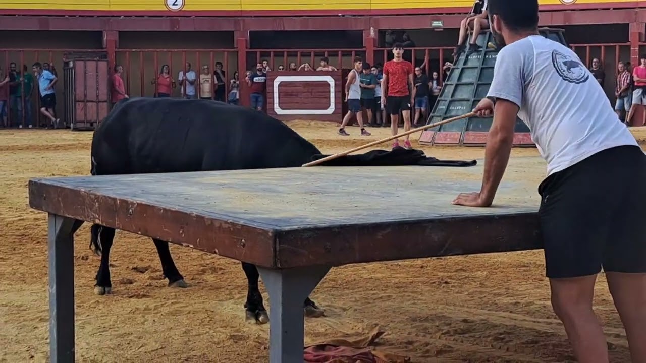 30/08/24 vall d alba toro cerril de francisco galache