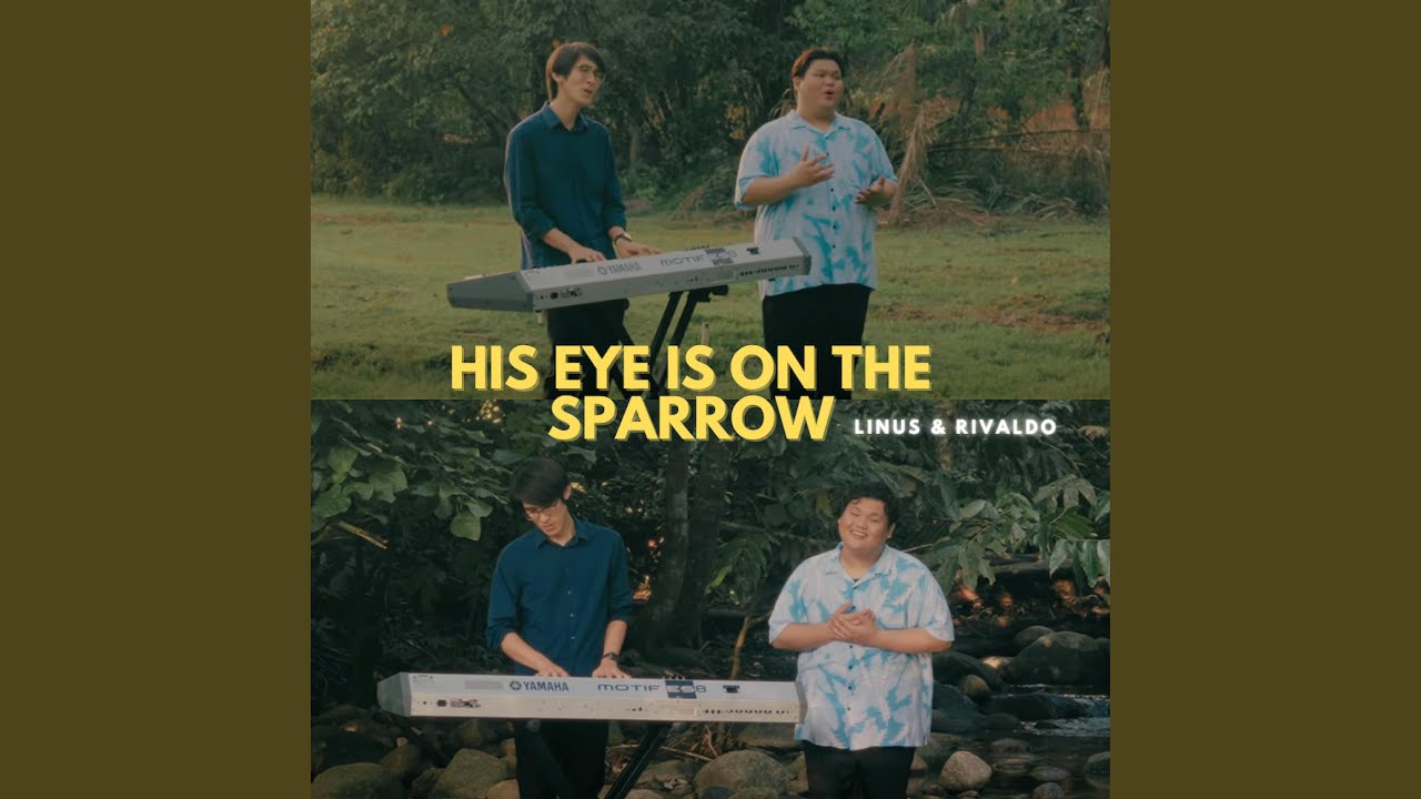 His Eye is on the Sparrow