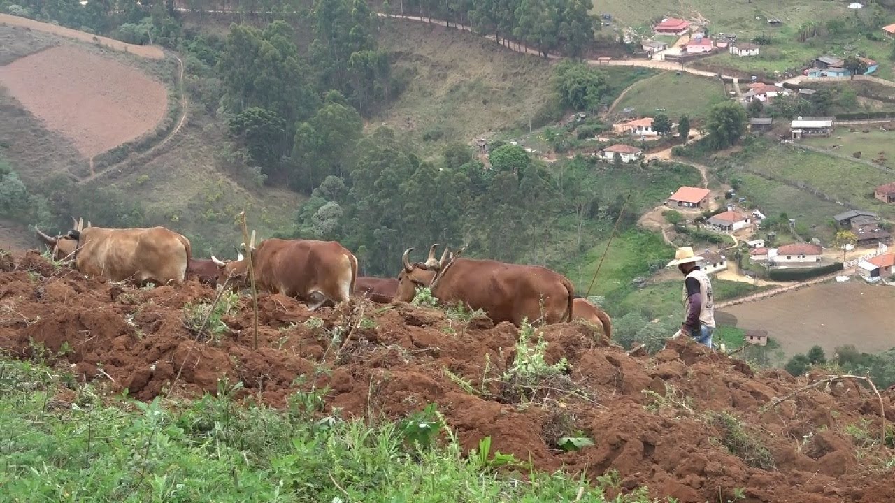 MUTIRÃO ARAÇÃO DE TERRA EM MARIA DA FÉ-MG