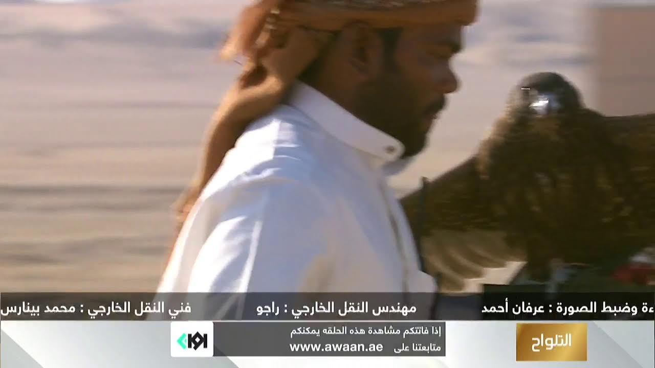 بطولة فزاع للصيد بالصقور – التلواح - 2022-2023 : العامة مفتوح - جير شاهين