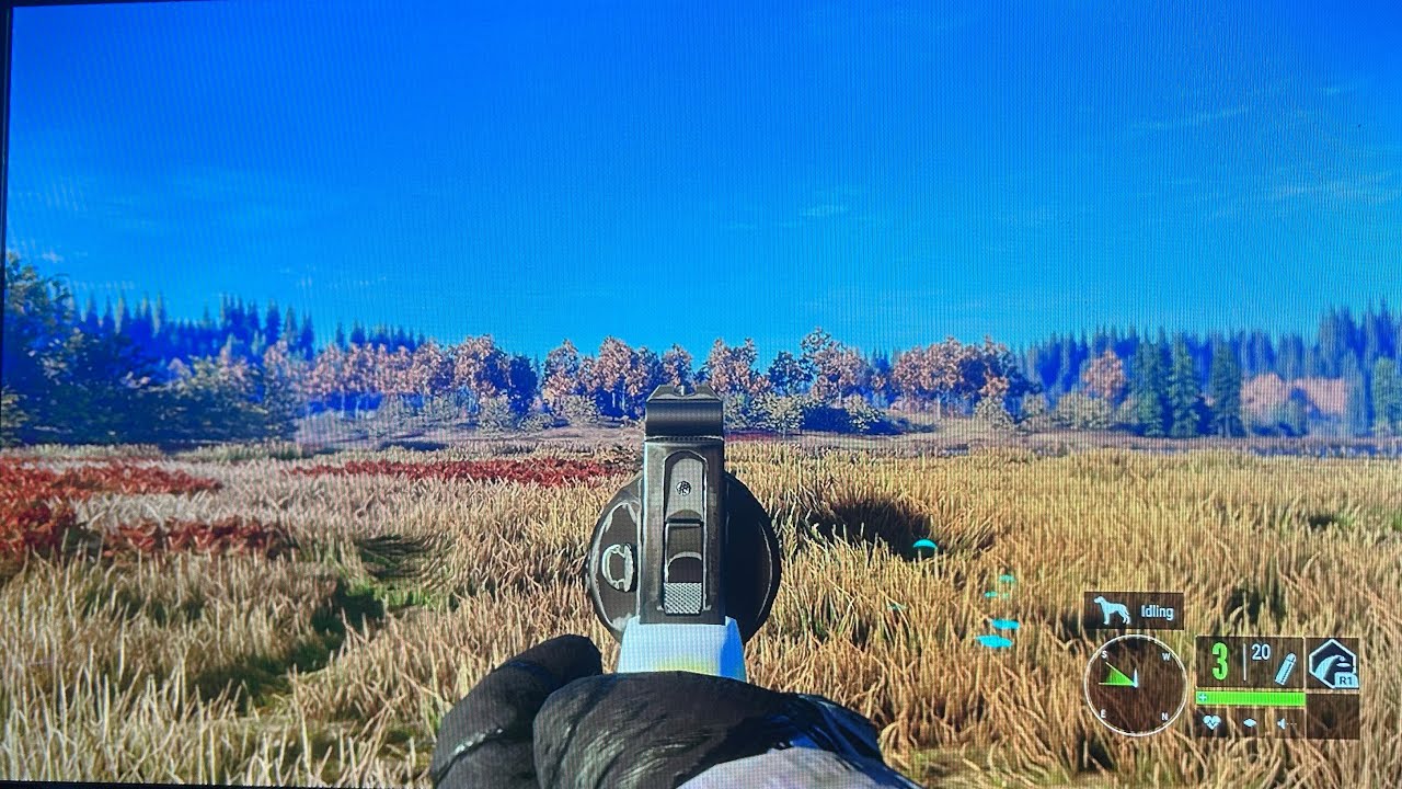 Pistol only challenge ( The Hunter call of the wild )￼