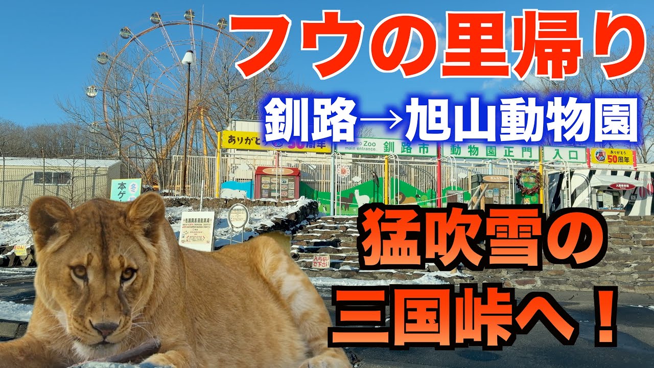 【衝撃】吹雪の三国峠でまさかの事態…！フウ、ゆうひの運転で命がけ帰省　字幕ON推奨