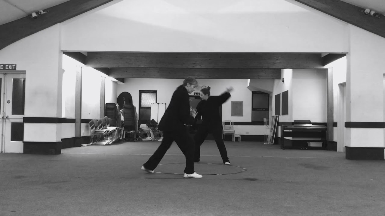 沙国政  Sha Guozheng Bagua Zhang Ba Da Shi