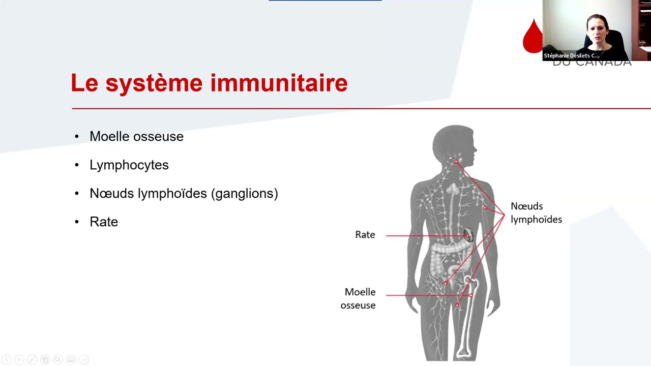 Comprendre les Syndromes myélodysplasiques recording