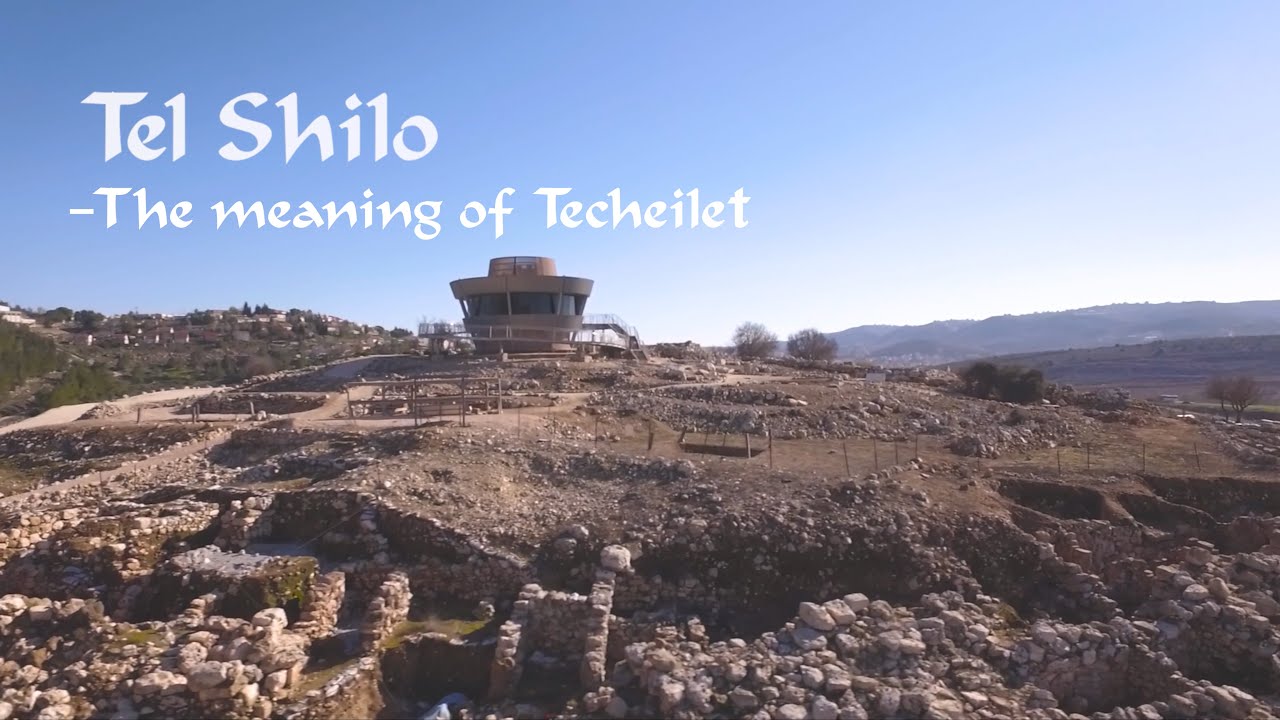 The Meaning of Techeilet