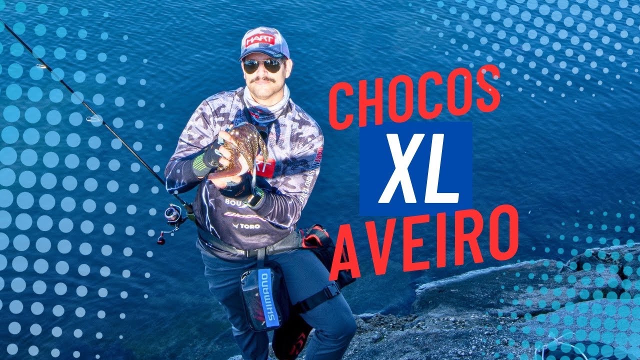 Chocos XL em Aveiro