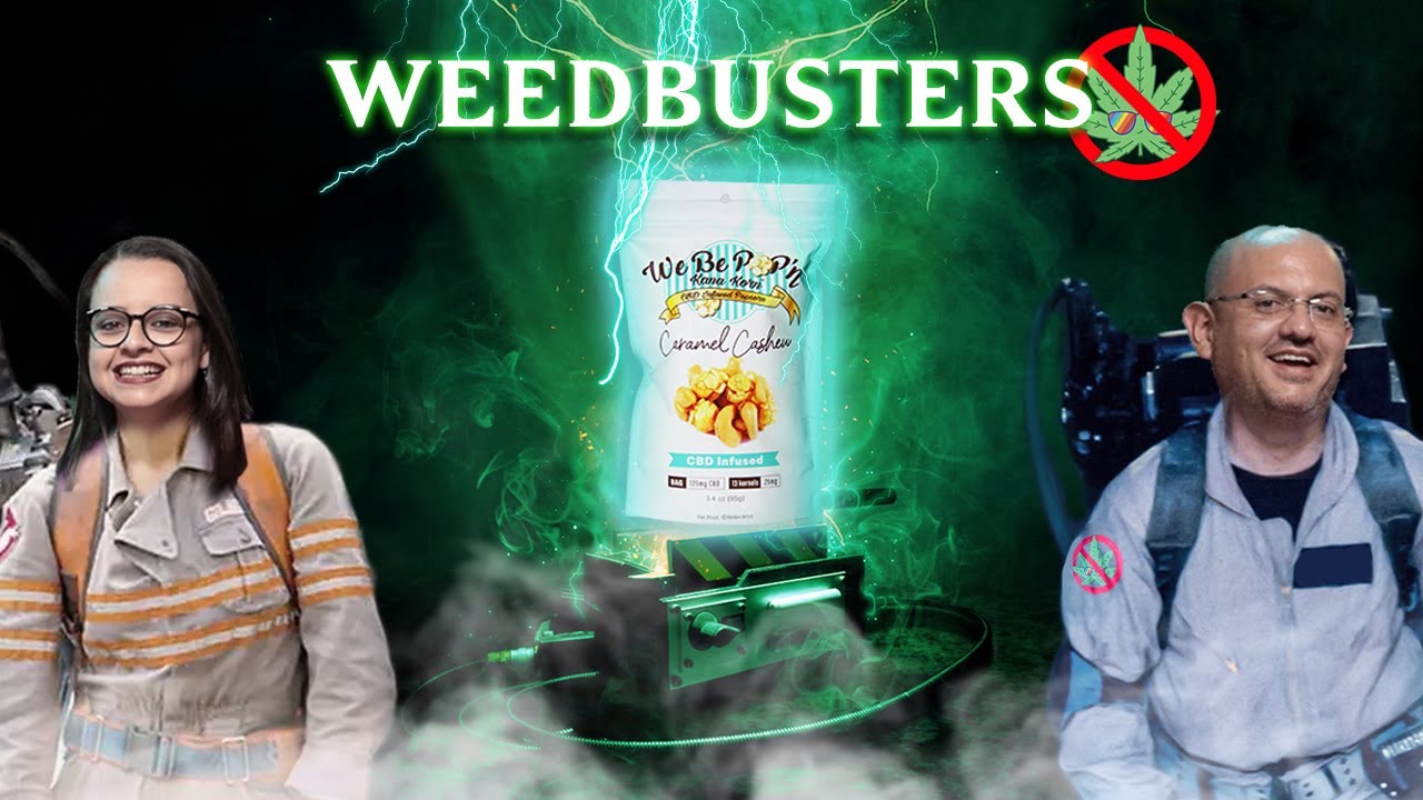 🔍 Poniendo a prueba 