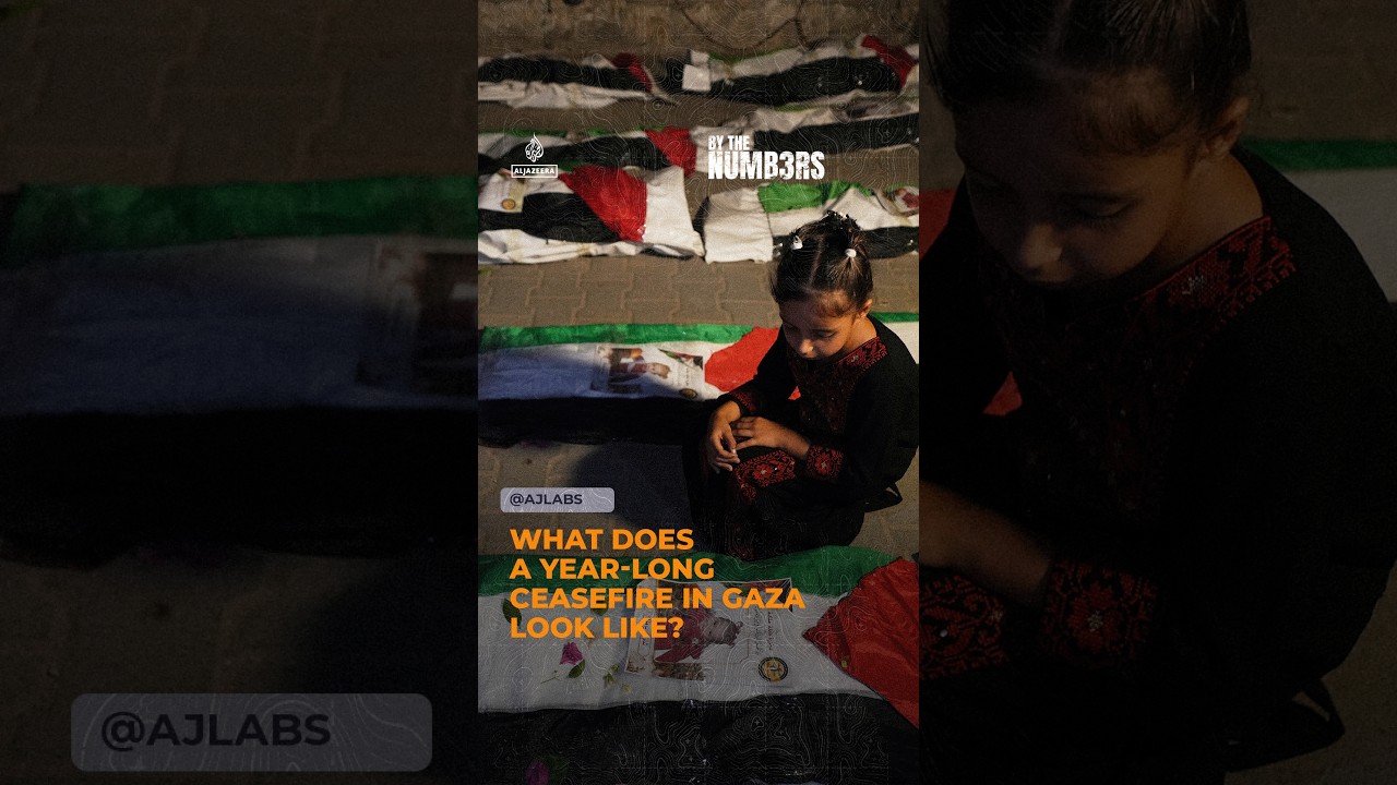 What does a year-long ceasefire in Gaza look like? | By the Numbers