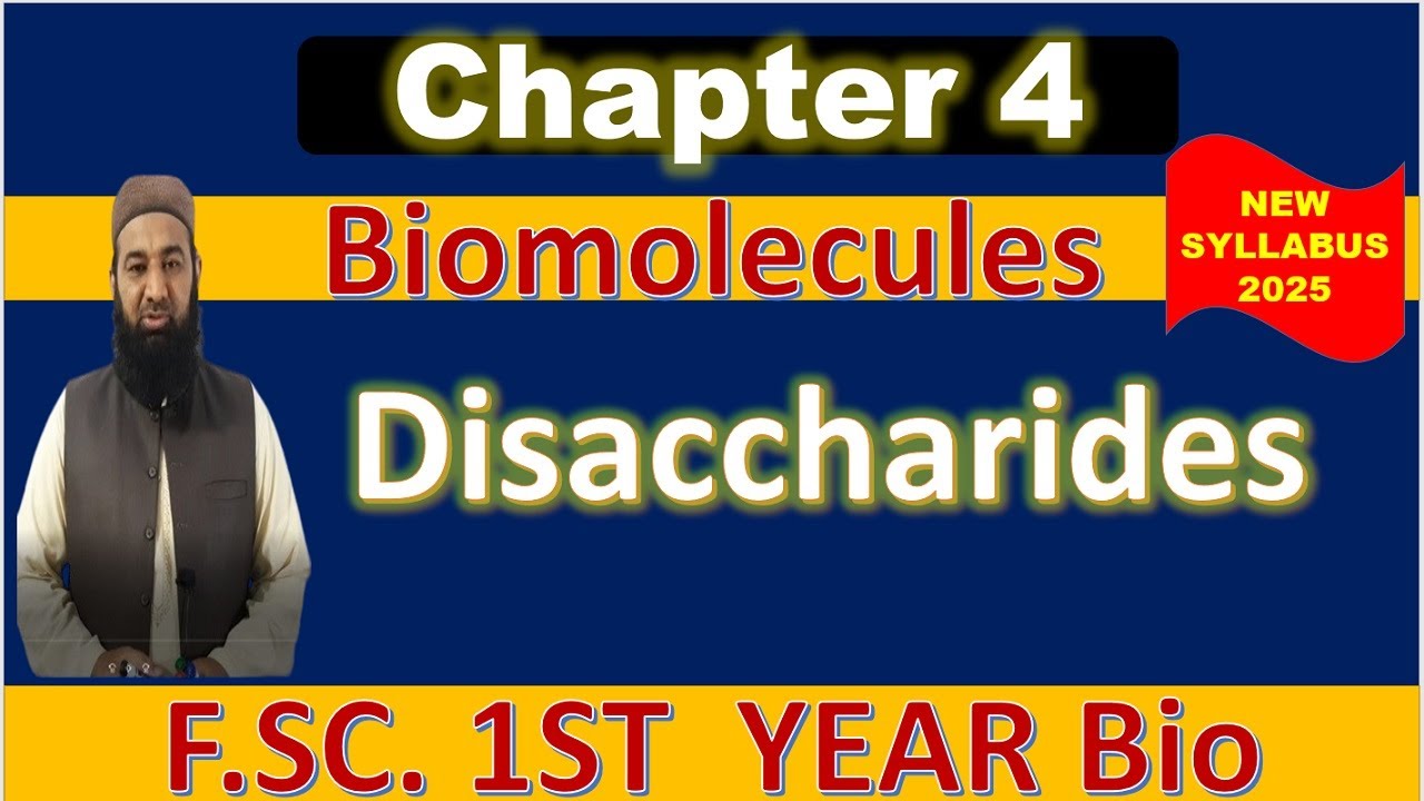 Disaccharides & Glycosidic Bonds | Class 11 Biology | Chapter 4 Biomolecules | New PTB Syllabus 2025