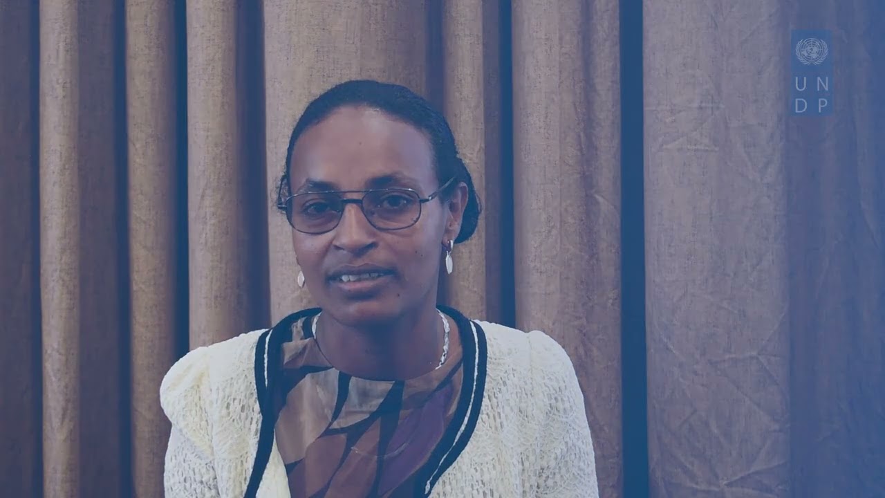 UNDP workshop on Social and Environmental Safeguards Workshop