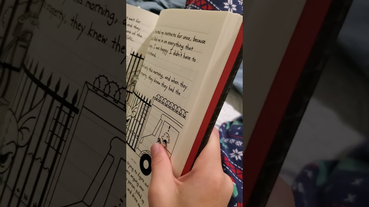 Diary of a Wimpy kid - Diper Overlode
