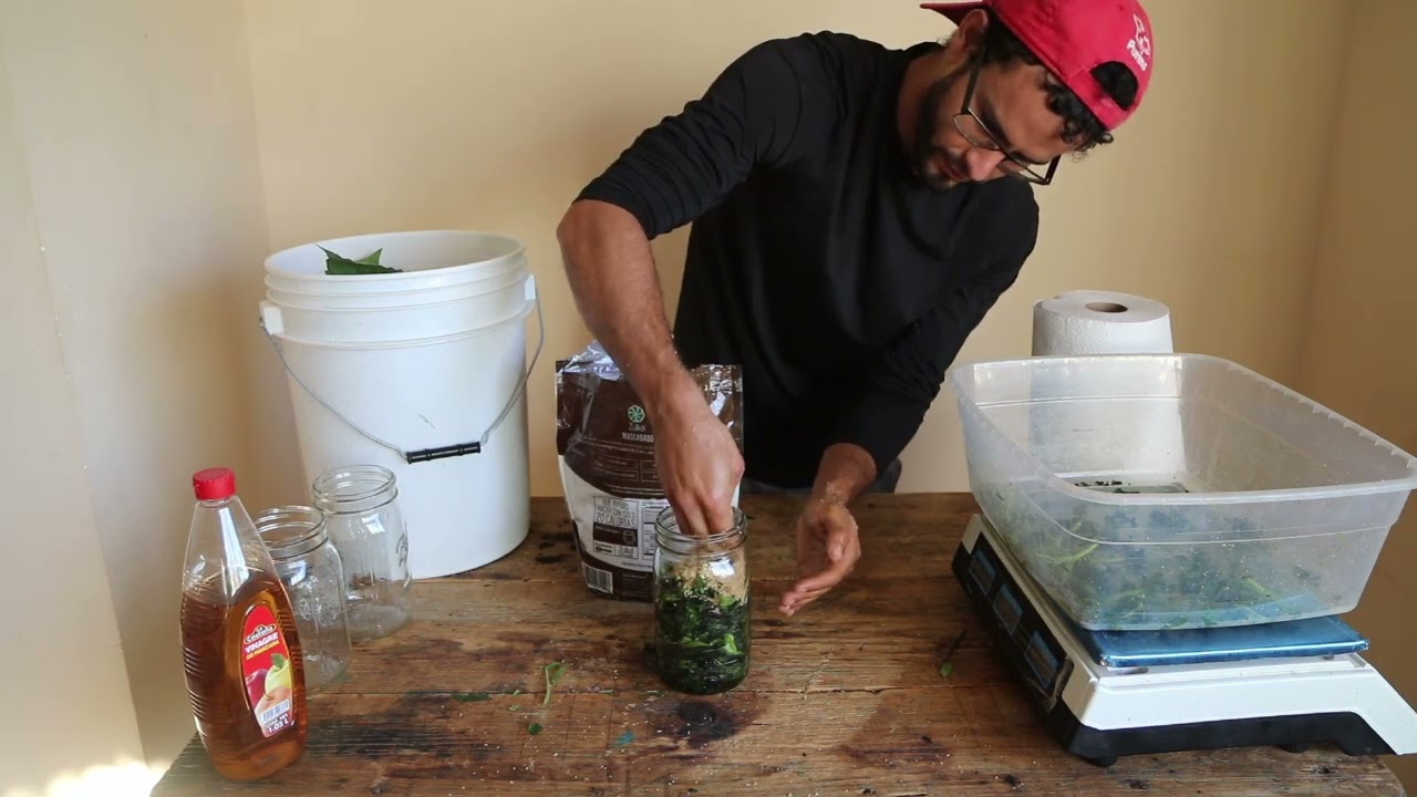 Super fertilizante orgánico (FPJ) Jugo de fermento de planta
