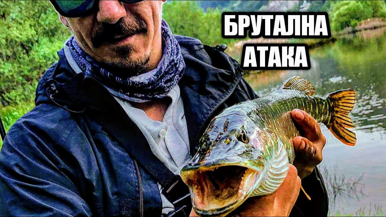 ИЗПУСНАХ ДОБРА РИБА.БРУТАЛНА АТАКА МЕ СТРЕСНА.